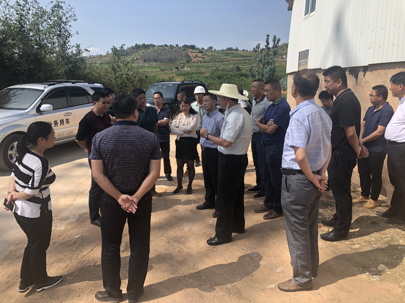 1563781554850221.jpg 貨.jpg