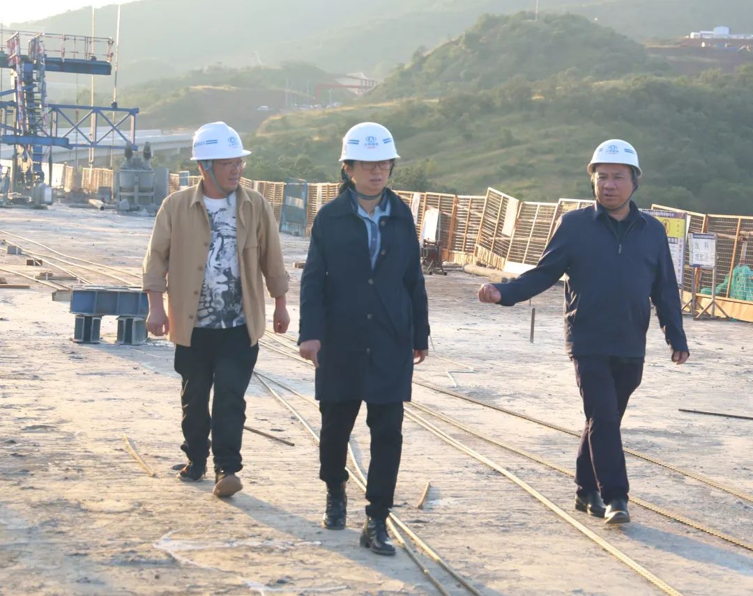 1667786511534661.jpg 2022-11-7-【一線工作法】張聯(lián)紅到永大項(xiàng)目檢查.jpg